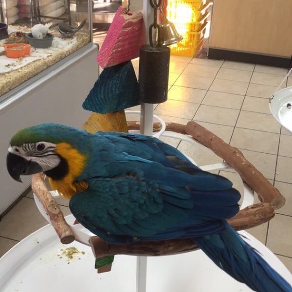 Photos at Omar's Exotic Birds Pet Store