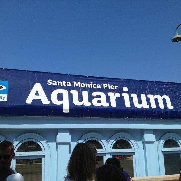 รูปภาพถ่ายที่ Santa Monica Pier Aquarium โดย Jason O. เมื่อ 6/10/2013