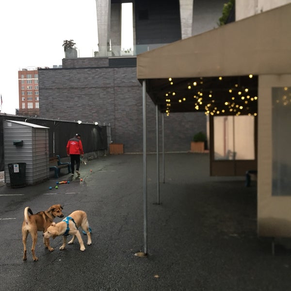 Foto diambil di West Village Dog Run oleh Laura P. pada 11/5/2017
