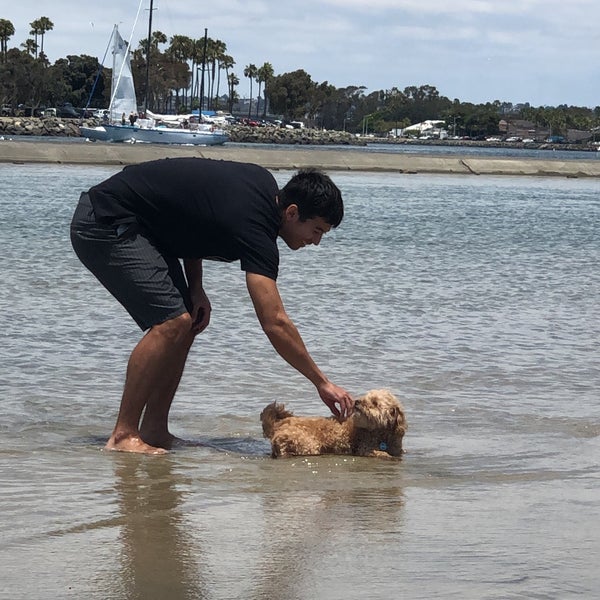 Ocean Beach Dog Beach Dog Park in San Diego
