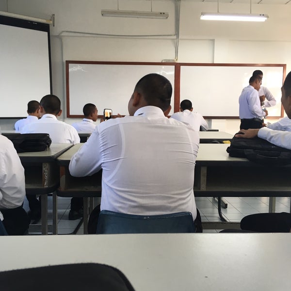 Algorithmus. Brain based learning что это такое. Система adaptive. Algorithmus. 4c/id.