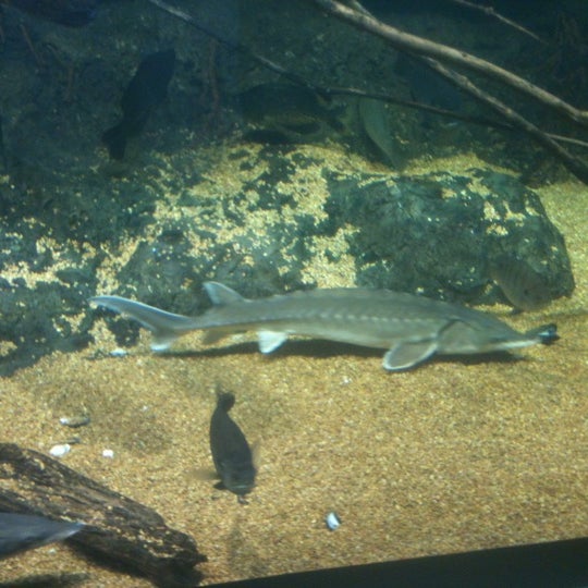 Virginia Aquarium IMAX Oceanfront 5 tips from 320 visitors