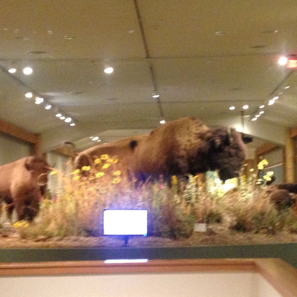Photo taken at Buffalo Bill Center of the West by Cynthia ❤ S. on 6/16/2016