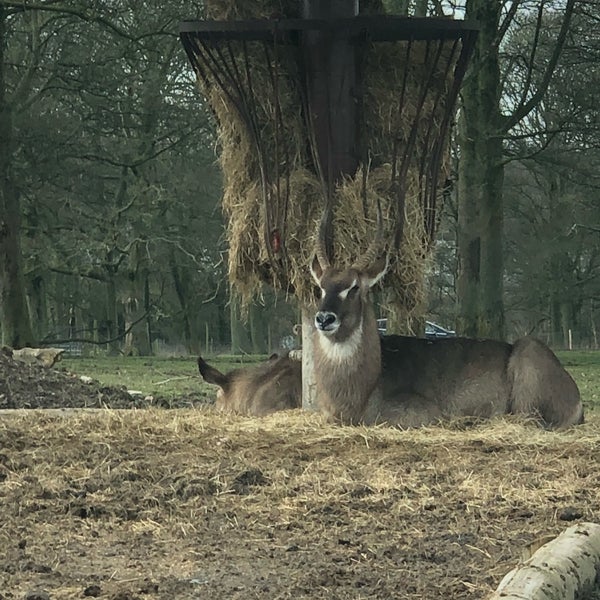 Photo taken at Knowsley Safari by Suzie G. on 3/30/2018