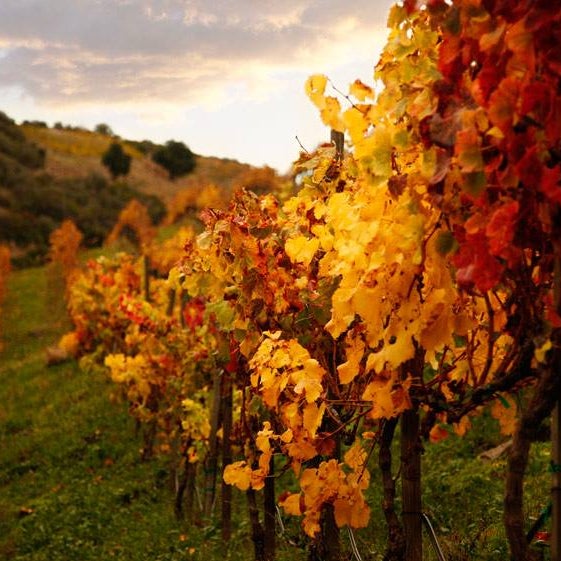 Malibu Wine Safaris Zoo in Malibu