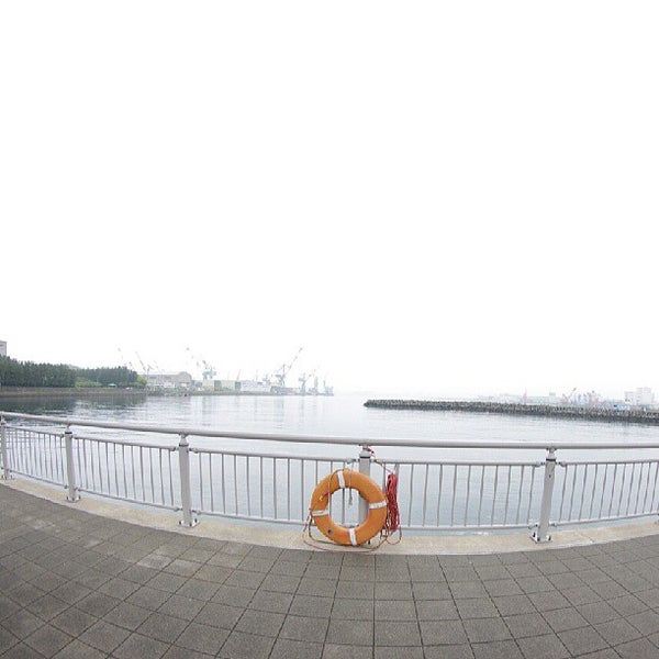杉田臨海緑地 Yokohamaの公園 杉田臨海緑地 Yokohamaの公園