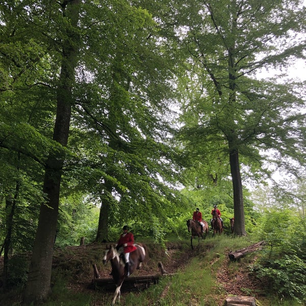 Ledreborg slot hvor ligger det til