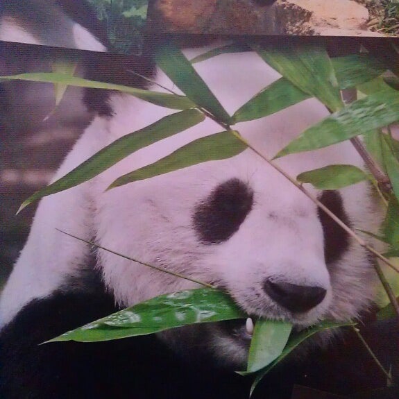 Photo taken at Panda Wokibox by Petro N. on 3/7/2013
