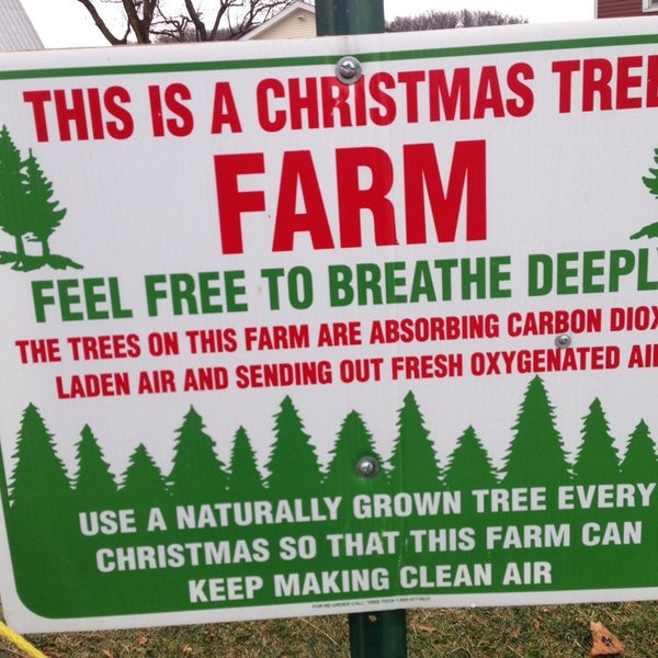 Tree farm перевод. Tree farm. This is a farm/ the trees. Commercial tree farm in illinois. Tree farm перевод.
