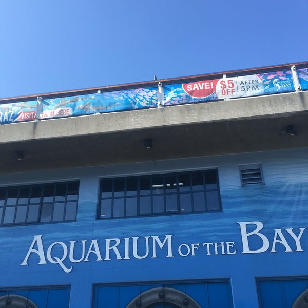 Photo taken at Aquarium of the Bay by JAY J. on 8/11/2019