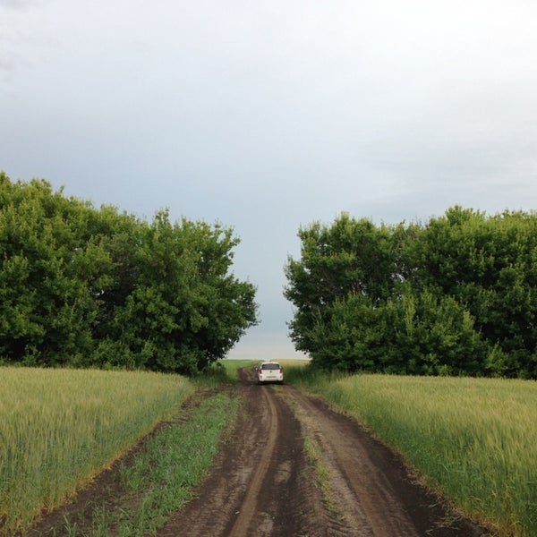 ярче красный путь. книгомир магазин. ярче красный путь. красный путь дом 82 а. ярче магазин новосибирск.