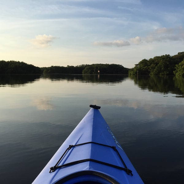 Photos at Cockroach bay boat ramp Ruskin, FL