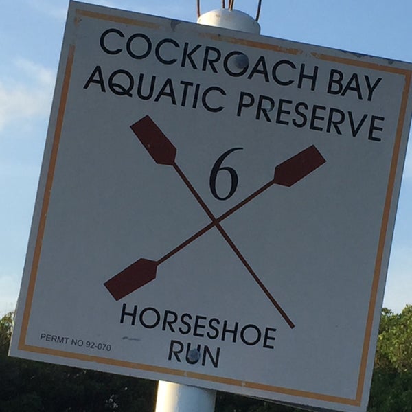 Photos at Cockroach bay boat ramp Ruskin, FL