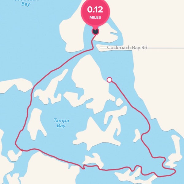 Photos at Cockroach bay boat ramp Ruskin, FL