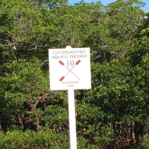 Photos at Cockroach bay boat ramp Ruskin, FL