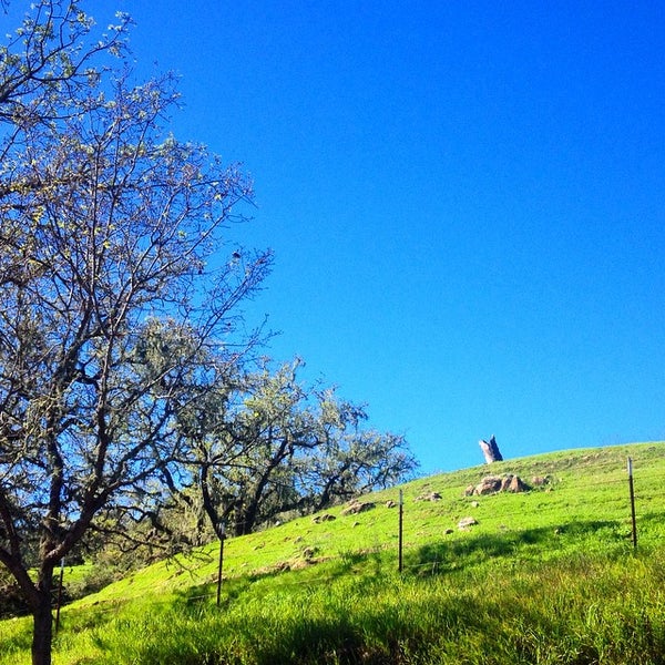 Photo taken at The Alisal Guest Ranch and Resort by Alexandra W. on 2/13/2015