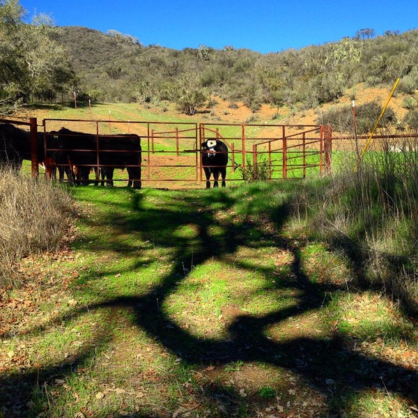 Photo taken at The Alisal Guest Ranch and Resort by Alexandra W. on 1/25/2016