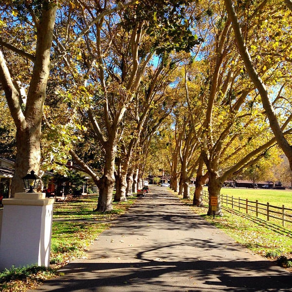 รูปภาพถ่ายที่ Alisal Guest Ranch &amp; Resort โดย Alexandra W. เมื่อ 11/16/2015