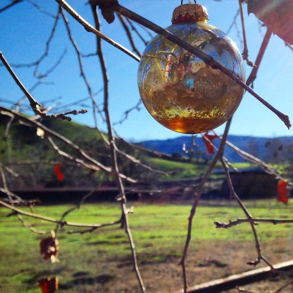 Photo taken at The Alisal Guest Ranch and Resort by Alexandra W. on 1/26/2016