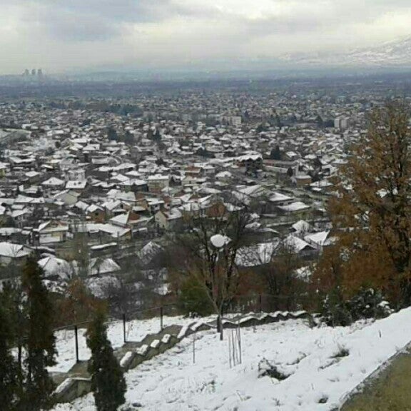 Три круша. Круша для бойлов. Три круша. Три круша. Экин коч три куруша.