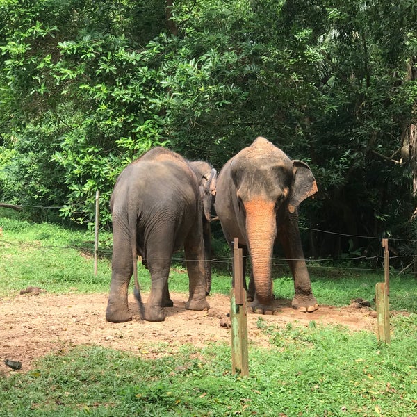 Photo taken at Zoo Melaka by Ridzwan M. on 12/22/2019