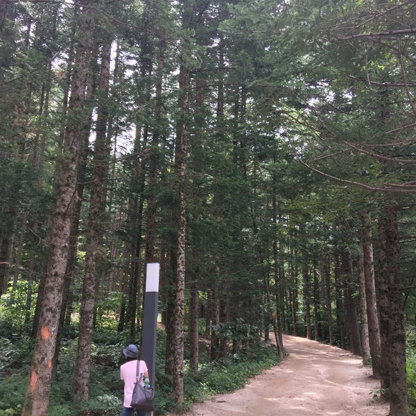 Photo taken at 방아다리약수터 전나무숲길 by DK Y. on 8/27/2017