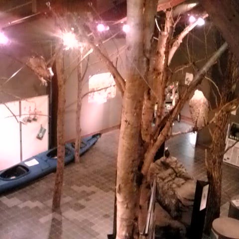 Photos At 釧路湿原野生生物保護センター