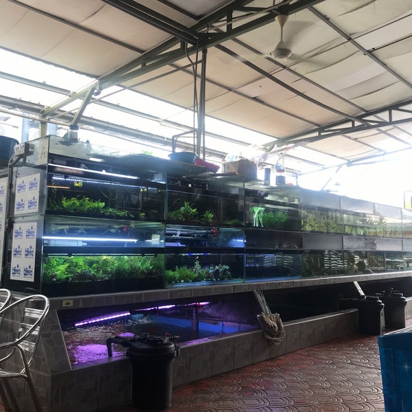 Xian Long Aquarium - 12, Jalan Ringgit 