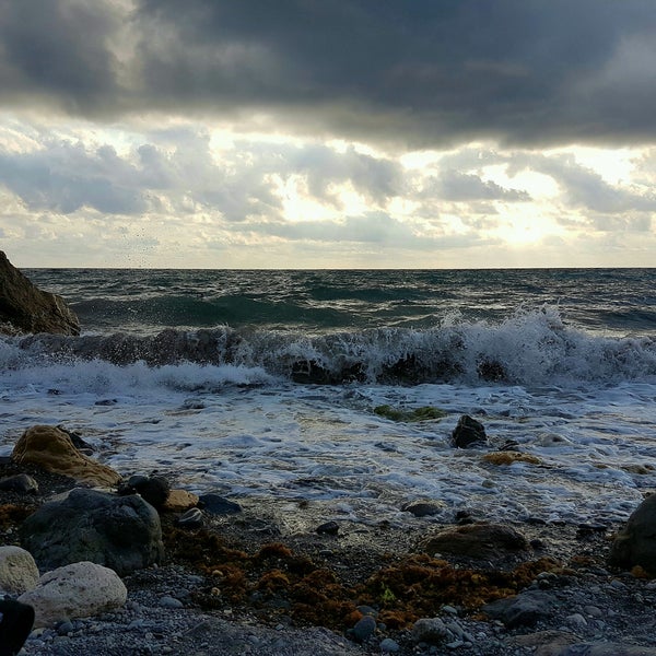 Пляж царское село