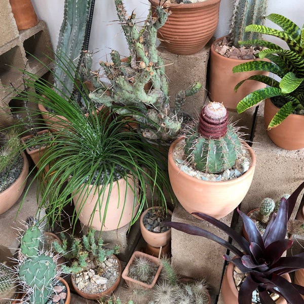 Photo taken at Cactus Store by Jean-Paul T. on 3/10/2018