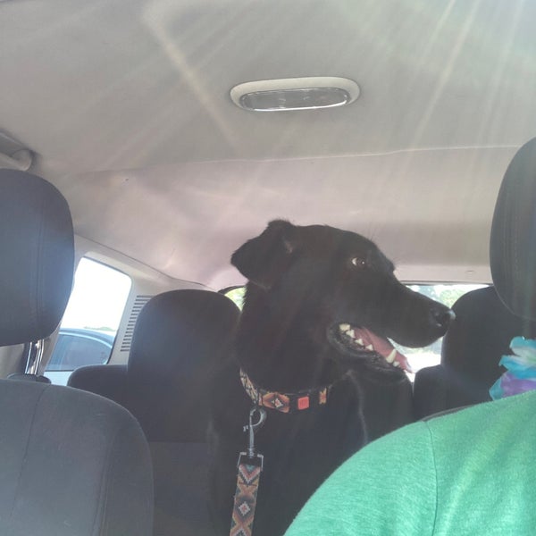 Photos at Oakley's Car Wash Northeast Yonkers 2435 Central Park Ave