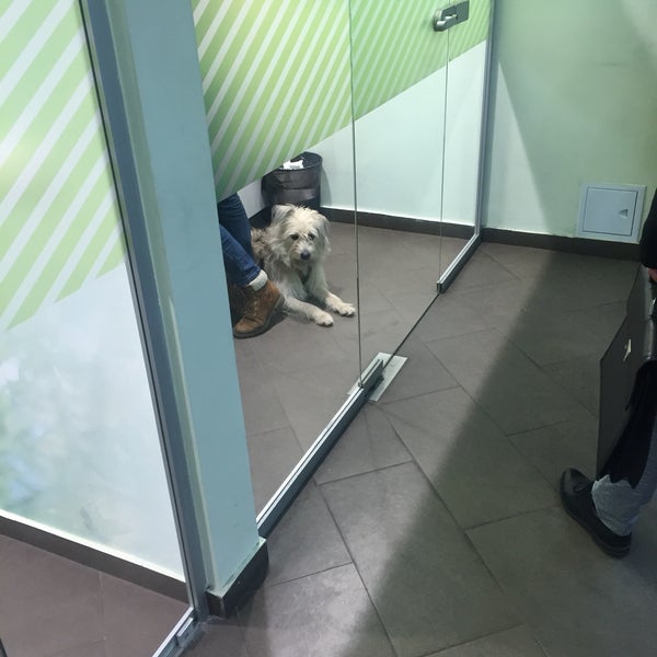 библиотека им. отделение сбербанка в москве на ул. станция чистые пруды москва. сбербанк чистые пруды. площадь чистые пруды в москве.