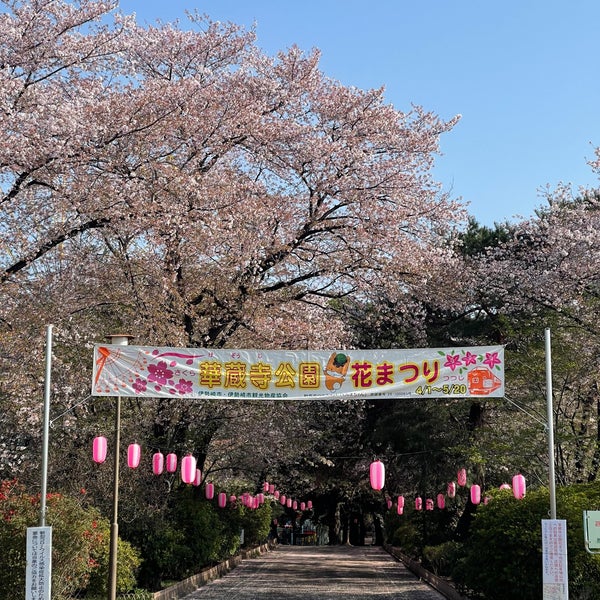 華蔵寺公園 伊勢崎市の公園