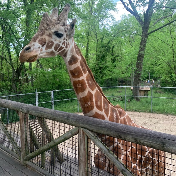 รูปภาพถ่ายที่ Memphis Zoo โดย Matt C. เมื่อ 4/28/2022