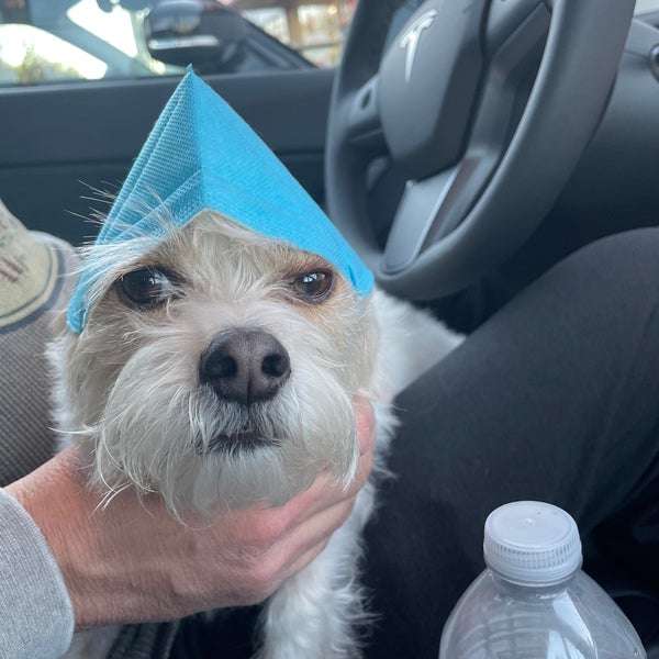 Staples Office Supply Store in Venice