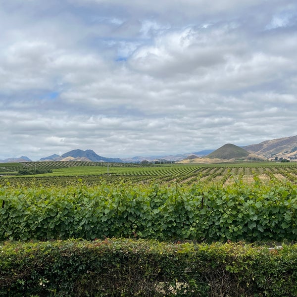 Edna Valley Vineyard 2585 Biddle Ranch Rd