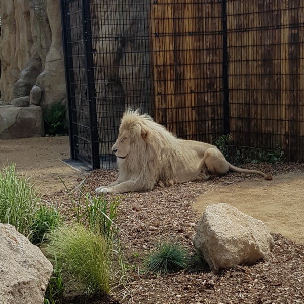 Das Foto wurde bei Hertfordshire Zoo von Ryan am 6/6/2019 aufgenommen