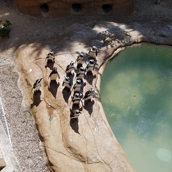 รูปภาพถ่ายที่ Hertfordshire Zoo โดย Ryan เมื่อ 6/6/2019