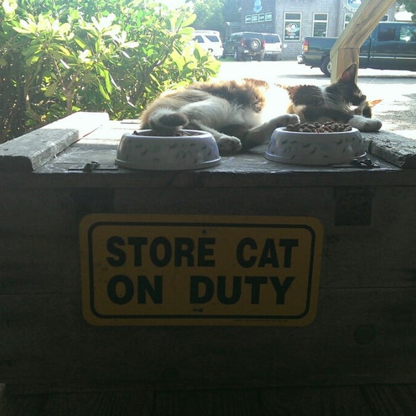 The Island Ragpicker 515 Irvin Garrish Hwy