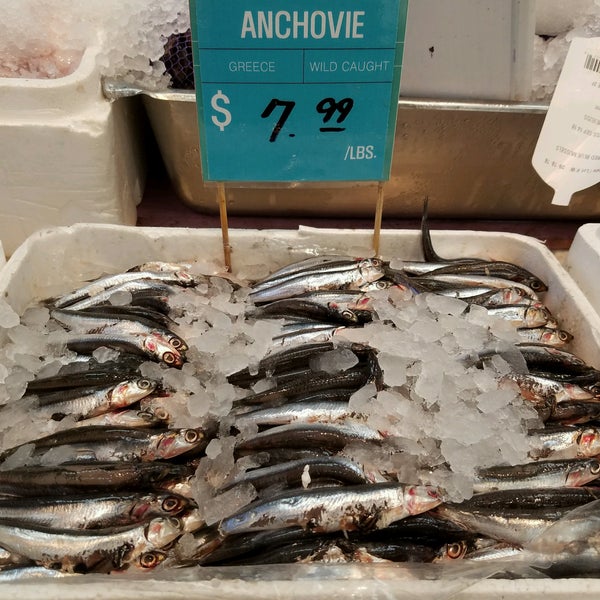 Best of the Sea Astoria, NY