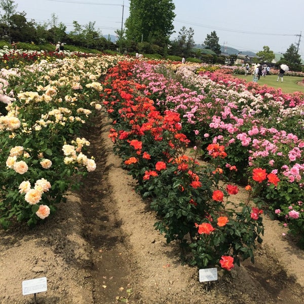 Photos At Rskバラ園 Garden In 岡山市