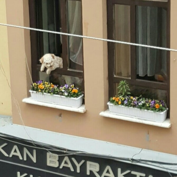 Das Foto wurde bei Grape Güzellik Merkezi von Özge L. am 6/24/2016 aufgenommen