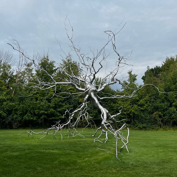 Снимок сделан в Frederik Meijer Gardens &amp; Sculpture Park пользователем Nels W. 9/16/2023