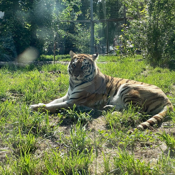 Photo taken at Sofia Zoo by Yuriy M. on 5/29/2021