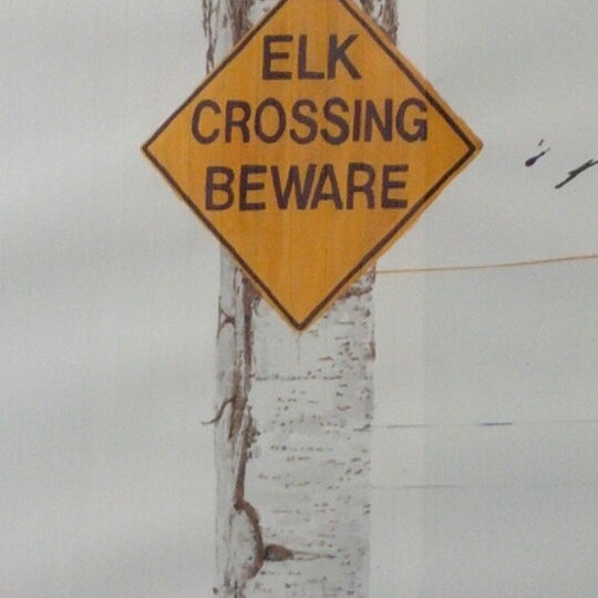 รูปภาพถ่ายที่ Elk Camp Gondola โดย Rob R. เมื่อ 11/22/2012