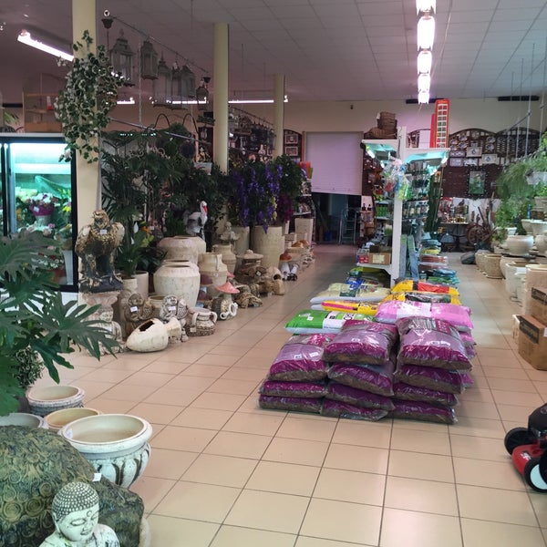 Market flora. Лазо 26 томск. Flora market томск. Магазин цветов в томске. Market flora.