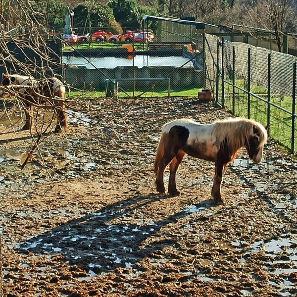 Foto diambil di Polonezköy Hayvanat Bahçesi ve Doğal Yaşam Parkı oleh Ömer Y. pada 1/26/2021
