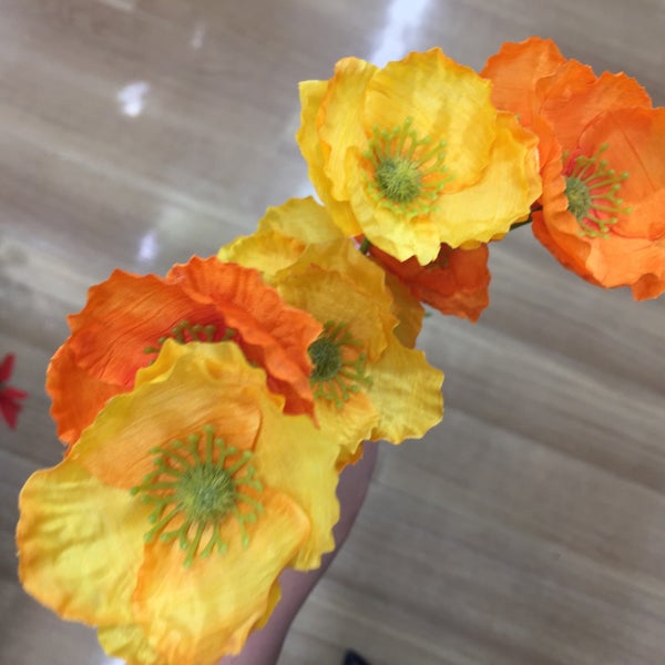 Photos At セリア とりせん大平店 Discount Store In 栃木市