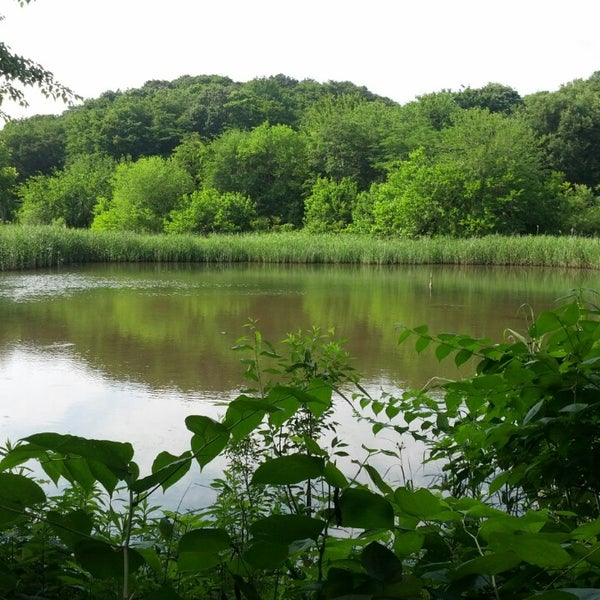 北本自然観察公園 Park In 北本市