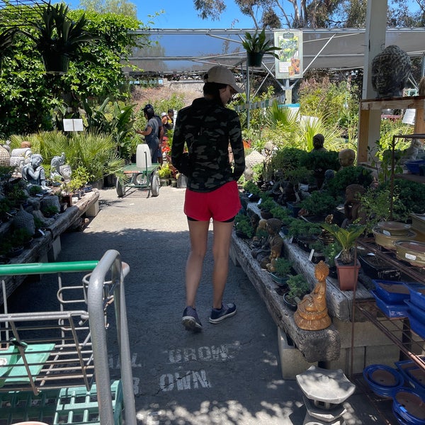 Plant Depot San Juan Capistrano, CA